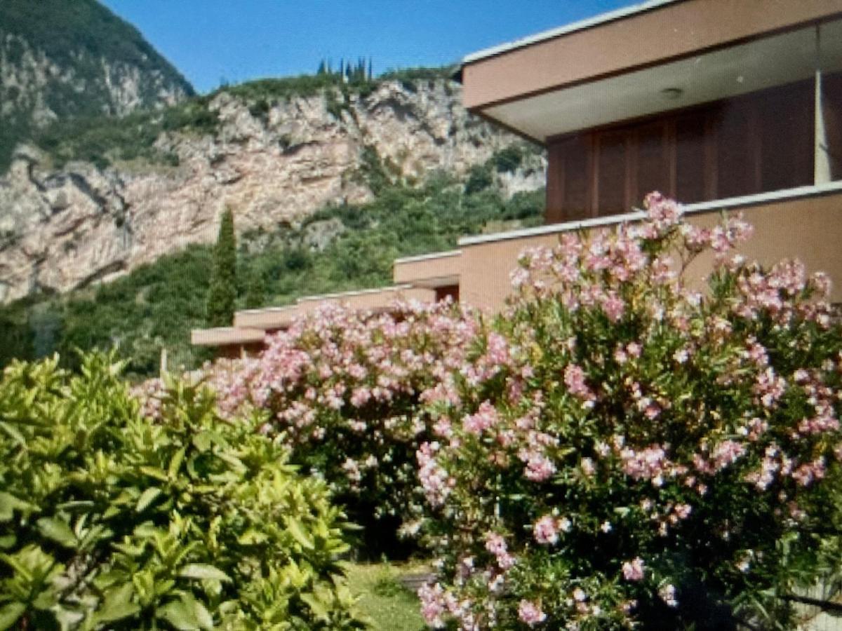 Appartamento Peppino Mit Seeblick Und Pool Ρίβα ντελ Γκάρντα Εξωτερικό φωτογραφία
